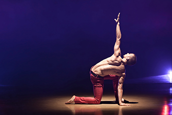 Performer and Artists